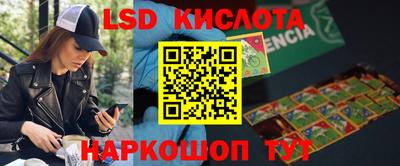 прущий лед Владимир