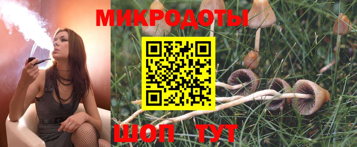 Псилоцибиновые грибы мицелий Брянск