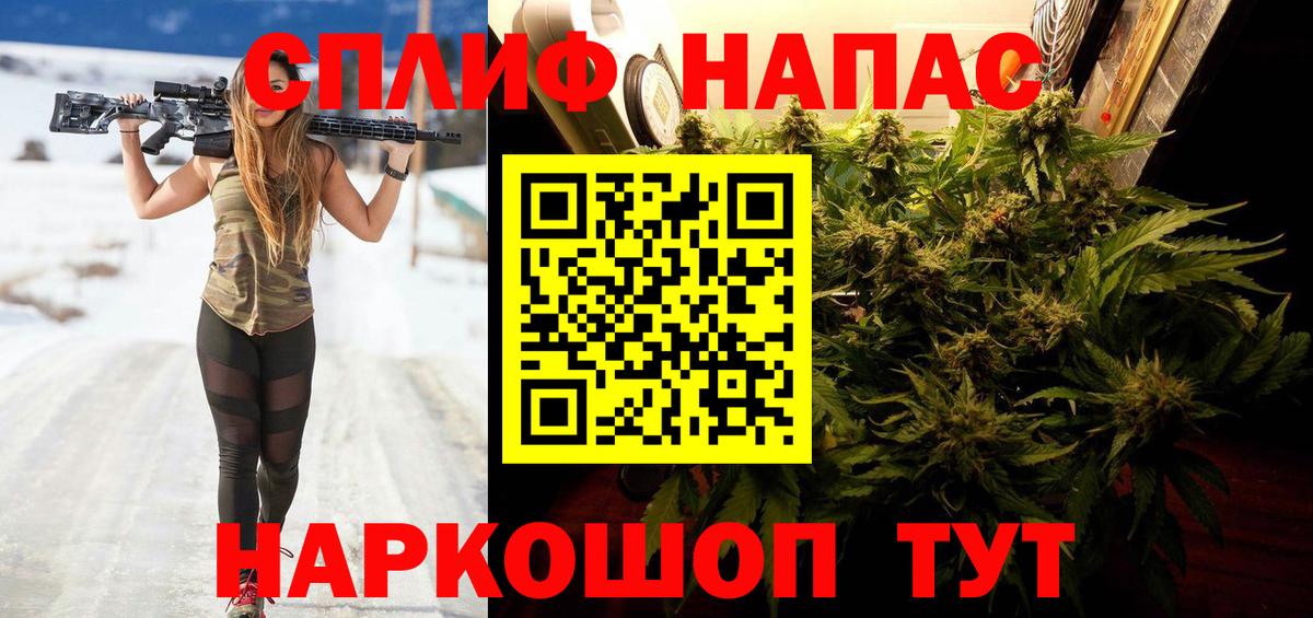 Конопля сатива Брянск